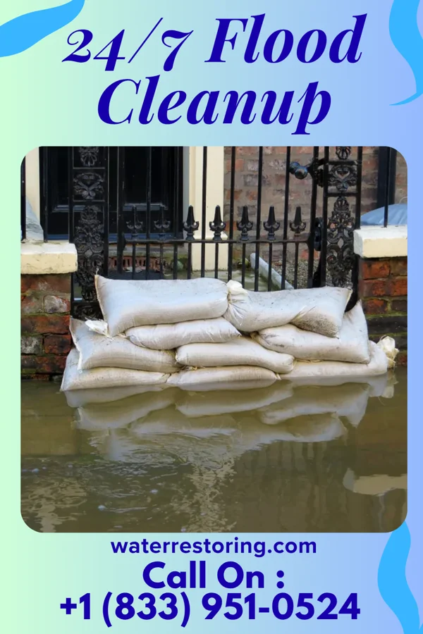 24/7 Flood Cleanup in Templeton, VA