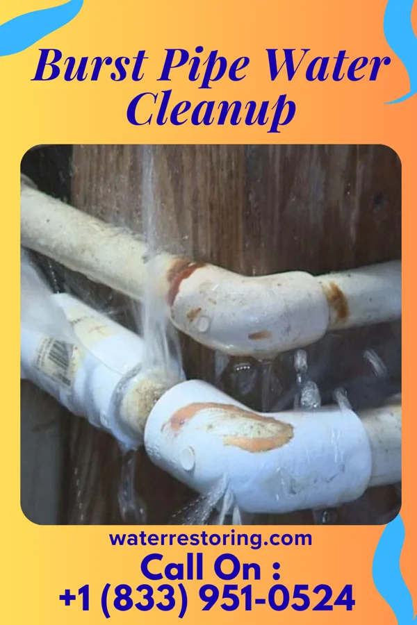 Burst Pipe Water Cleanup in Templeton, VA