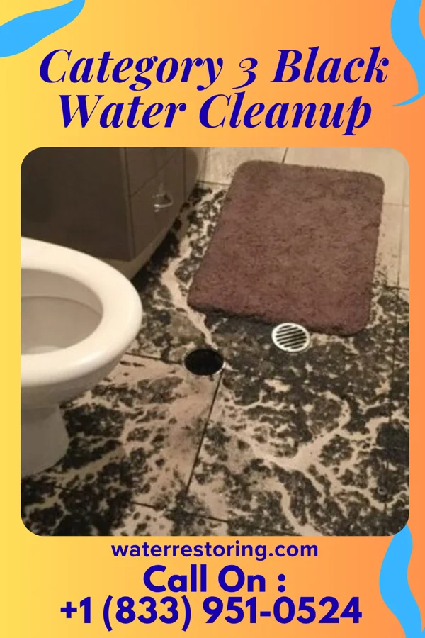 Category 3 Black Water Cleanup in Templeton, VA