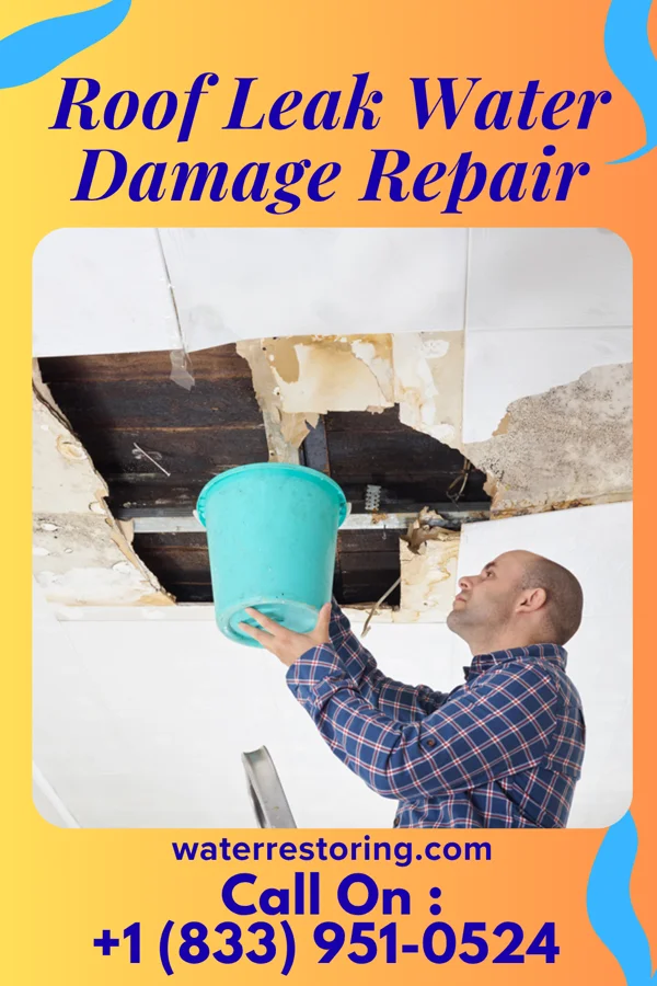 Roof Leak Water Damage Repair in Templeton, VA
