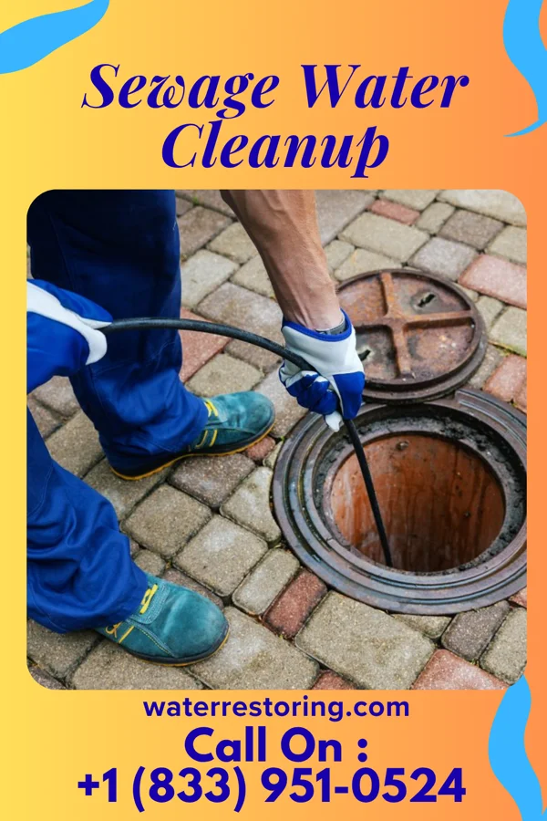 Sewage Water Cleanup in Templeton, VA