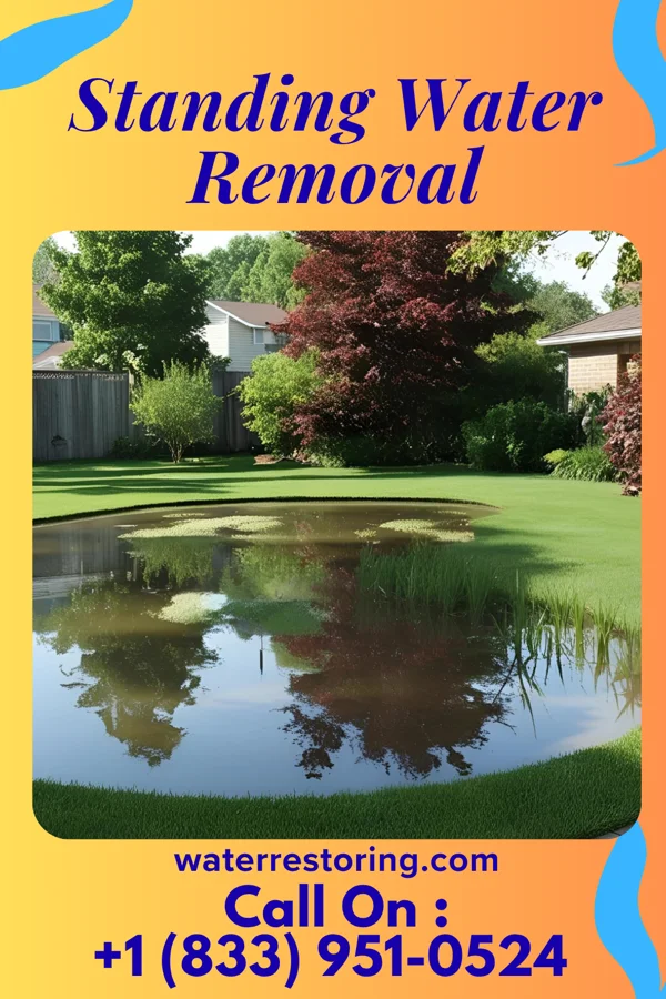 Standing Water Removal in Templeton, VA
